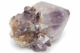 Cactus Quartz (Amethyst) Crystal - South Africa #220016-1